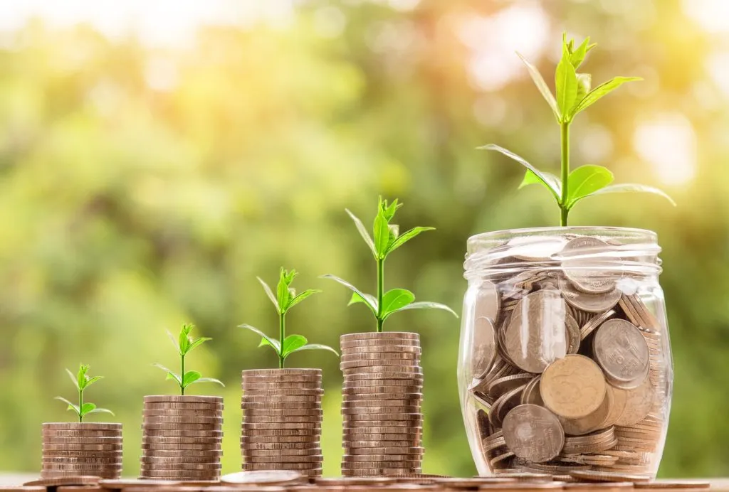 Coins and a small plant growing from a pile of money, representing saving and growth